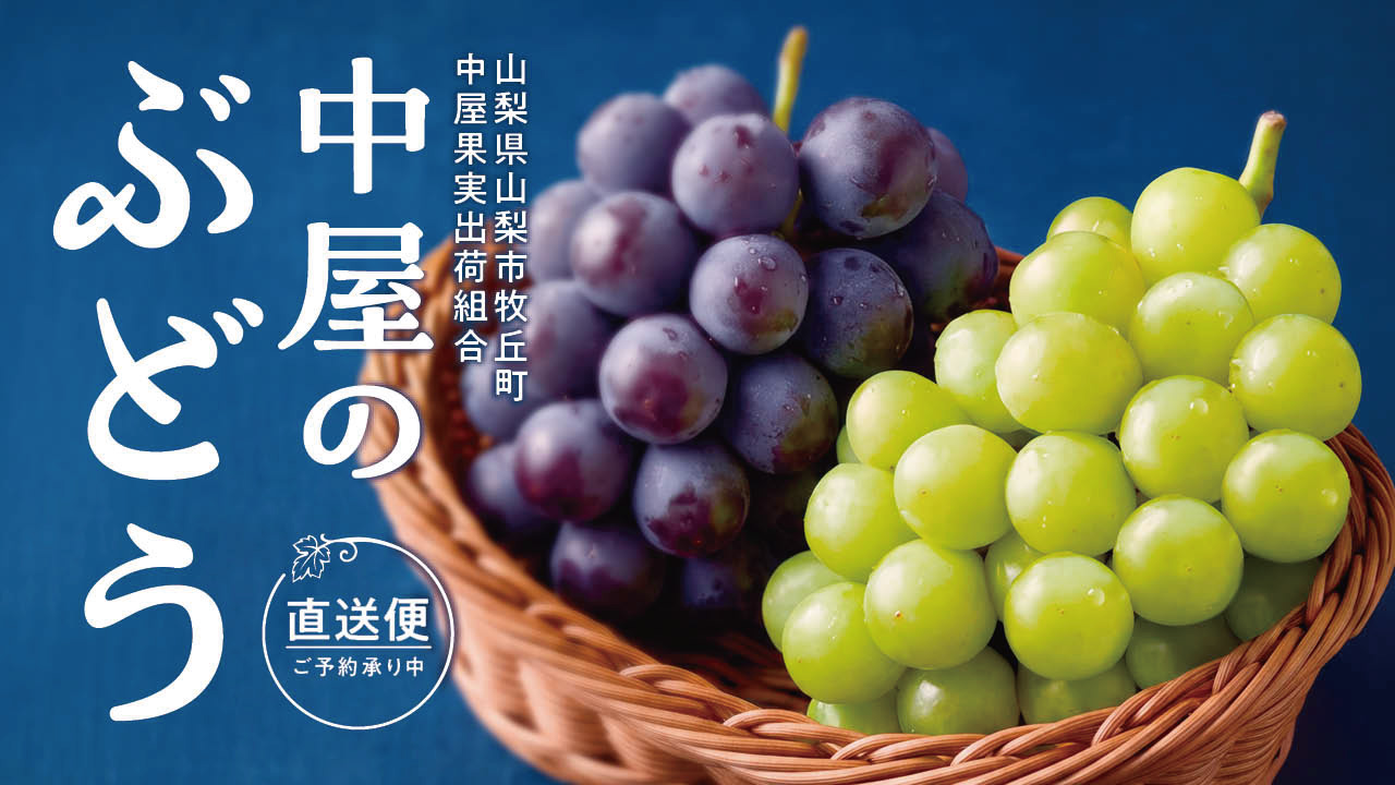 カスミ｜中屋のぶどう2026